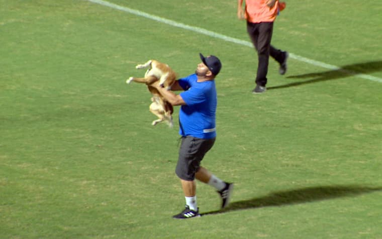 Cachorro invade campo no campeonato amazonense