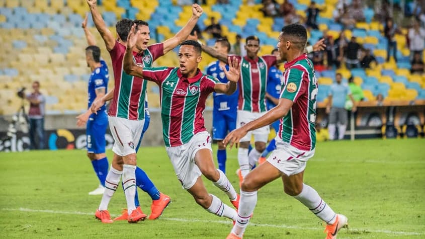 Fluminense x Cruzeiro comemoração