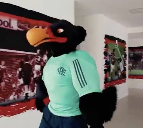 Urubu mascote do Flamengo