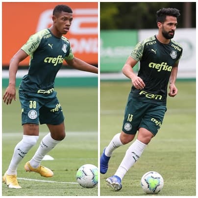 Montagem Danilo e Luan Palmeiras