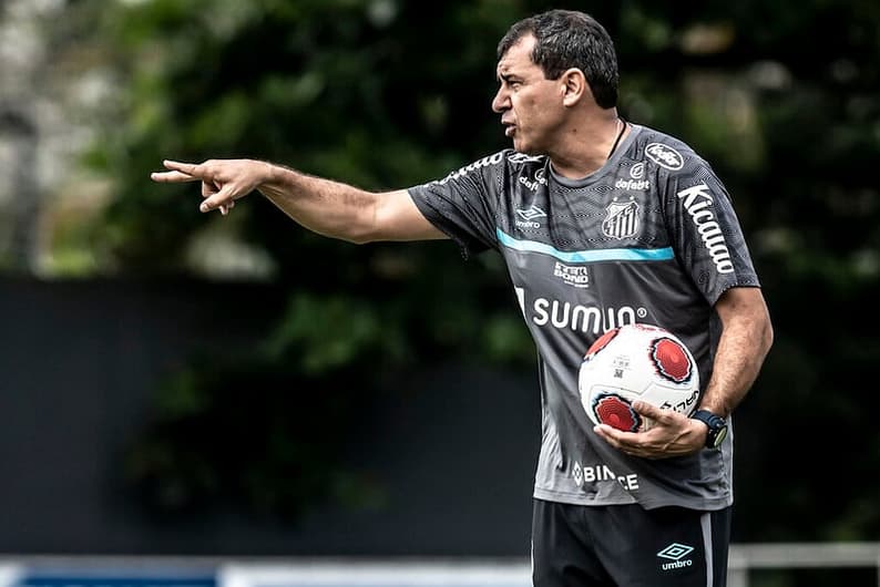 Fabio Carille - técnico do Santos