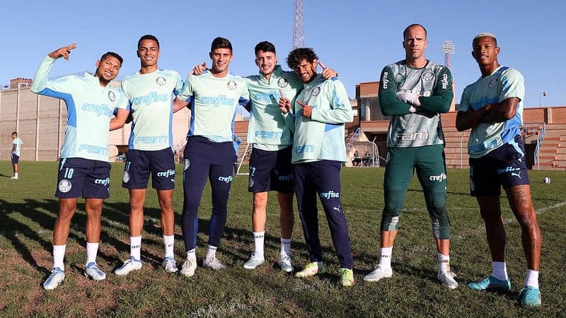 Palmeiras treino