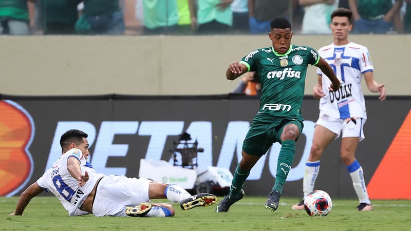 Vanderlan Palmeiras