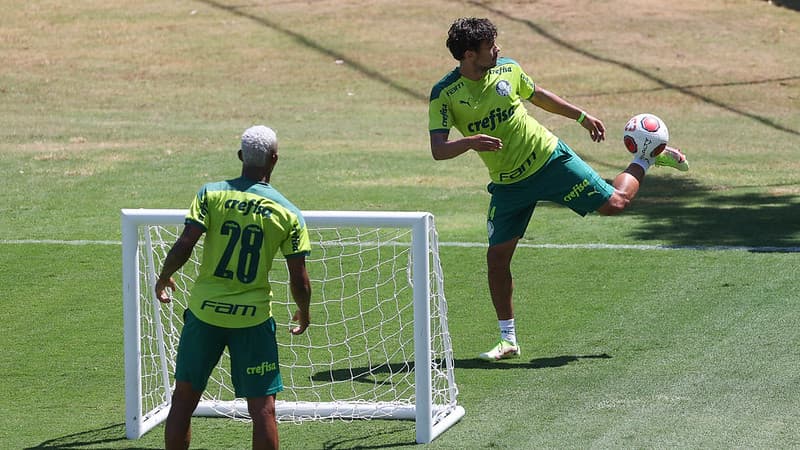 Danilo e Gustavo Scarpa - Palmeiras