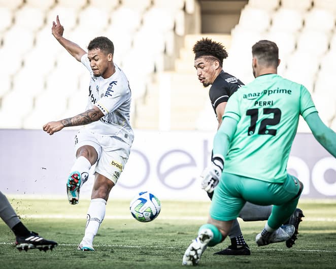 Marcos Leonardo anotou dois contra o Fogão (Foto: Raul Baretta / Santos FC)