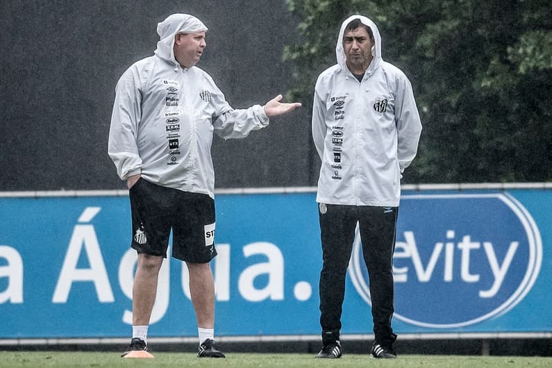 Marcelo Fernandes e Fábio Carille, no Santos