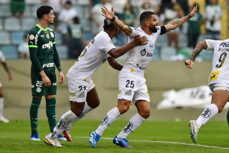 PALMEIRAS-SANTOS