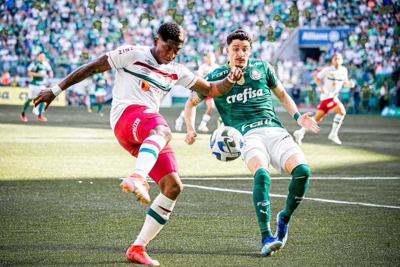 Campeonato Brasileiro – Palmeiras x Fluminense