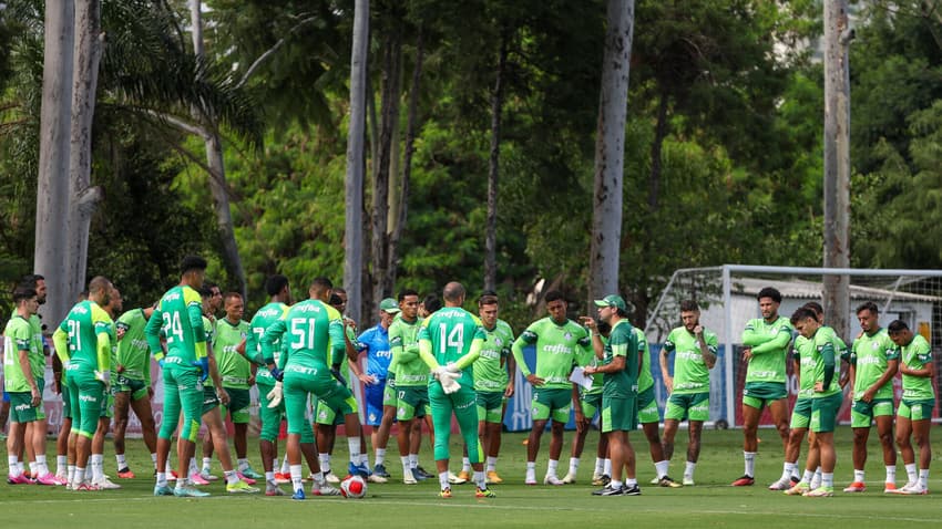 Palmeiras - treino, Rômulo Veiga