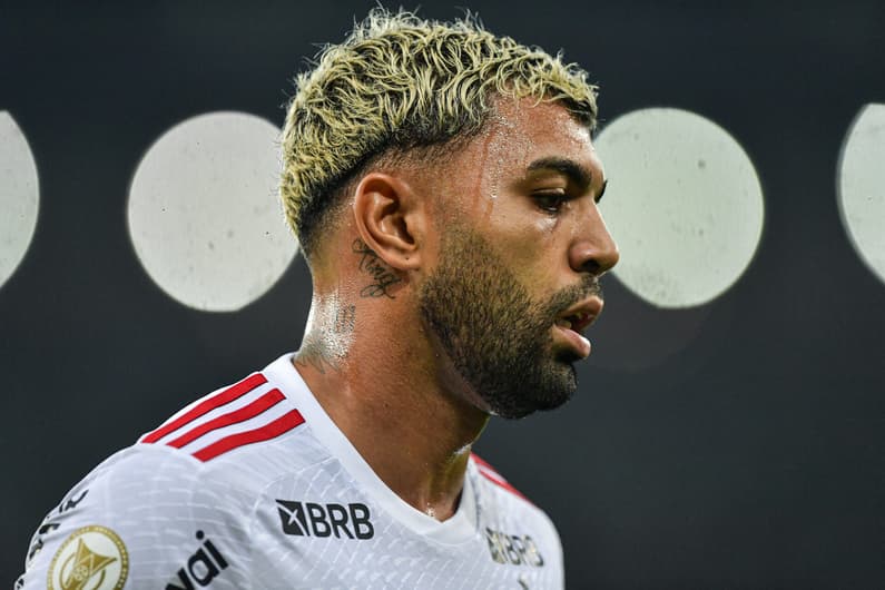 Gabigol Flamengo, Palmeiras