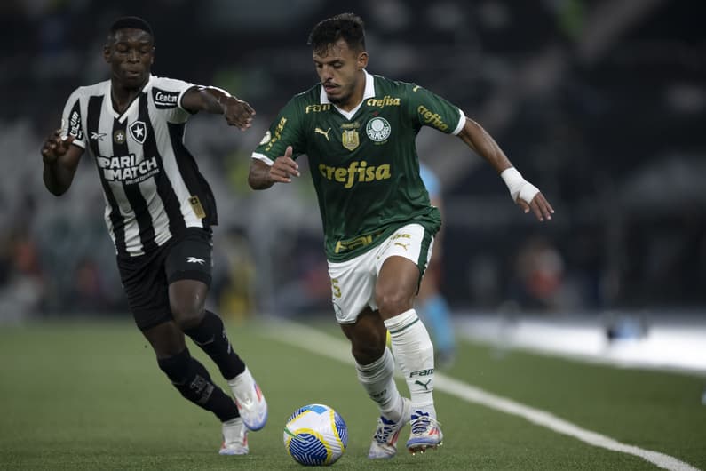 Em jogo hoje, Botafogo e Palmeiras fazem o confronto mais aguardado das oitavas da Libertadores. Foto: Jorge Rodrigues/AGIF