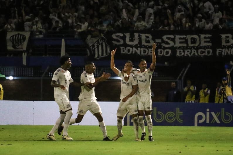 Em jogo hoje, Santos espera fazer o bom resultado que fez no primeiro turno e conquistar mais três pontos pela Série B. Foto: Leonardo Hubbe/AGIF