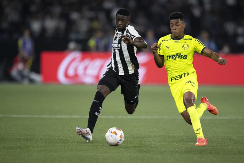 Palmeiras e Botafogo decidem vaga para as quartas da Libertadores. Foto: Jorge Rodrigues/AGIF