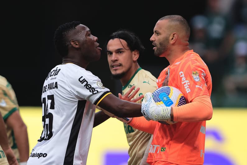 Patrick-de-Paula-discute-com-Weverton-Palmeiras-x-Criciuma-Brasileirao-2024