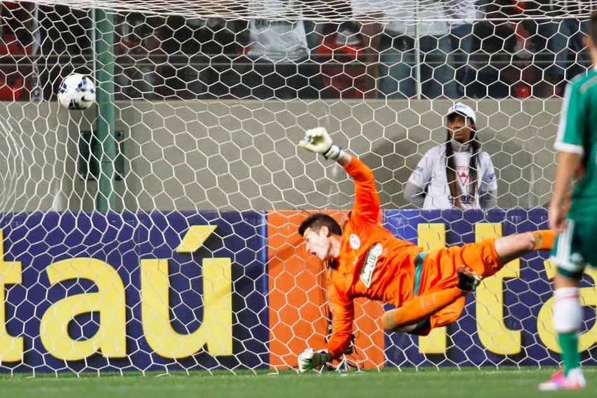 Atlético-MG x Palmeiras - Fabio (Foto: Gil Leonardi/LANCE!Press)