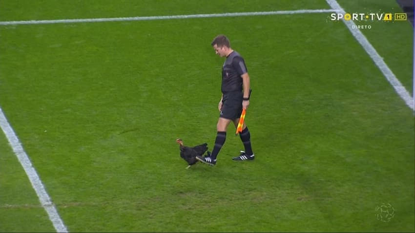 Galinho em campo - Porto x Braga