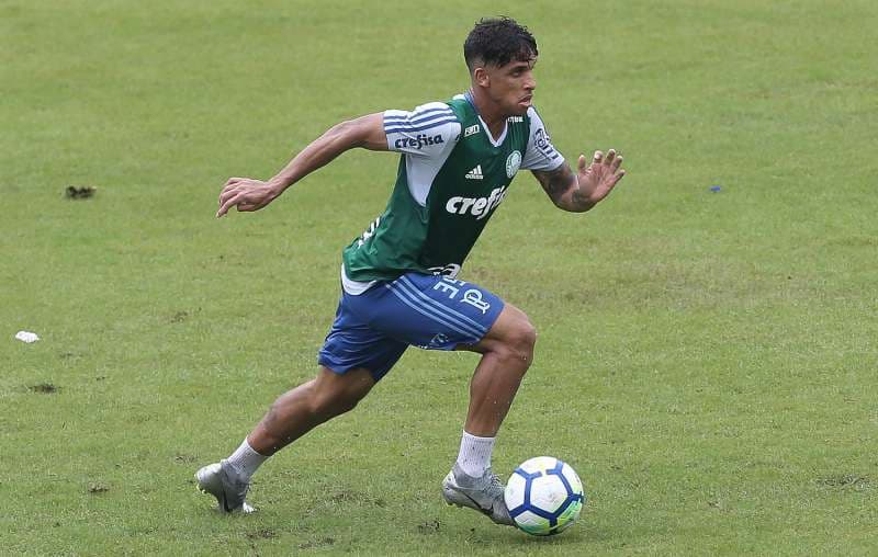 Vitinho do Palmeiras