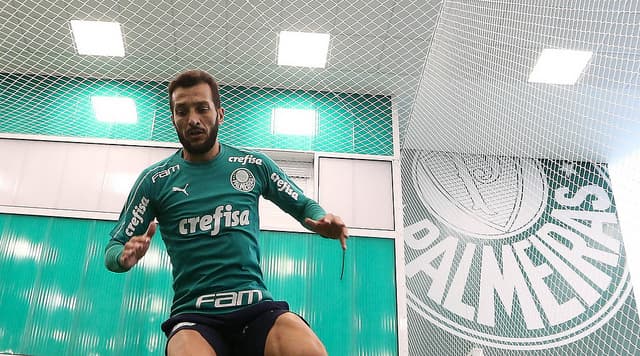 Edu Dracena - Palmeiras