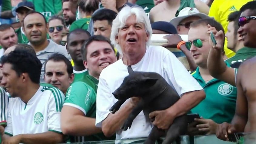 Torcedor Palmeiras