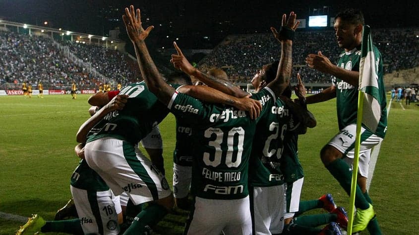 Palmeiras x Novorizontino Felipe Melo