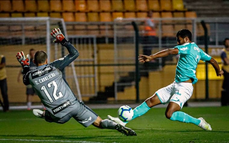 Palmeiras x Botafogo - Cavalieri