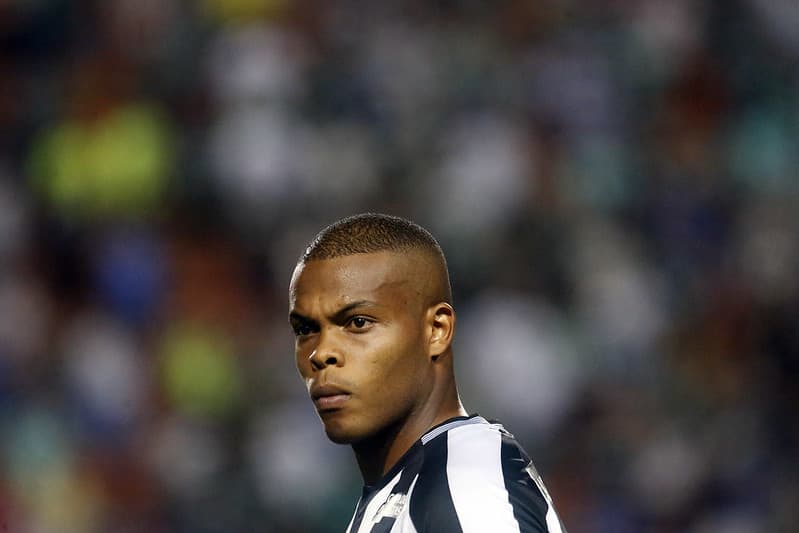 Vinícius Tanque - Botafogo