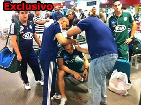 Briga - Palmeiras