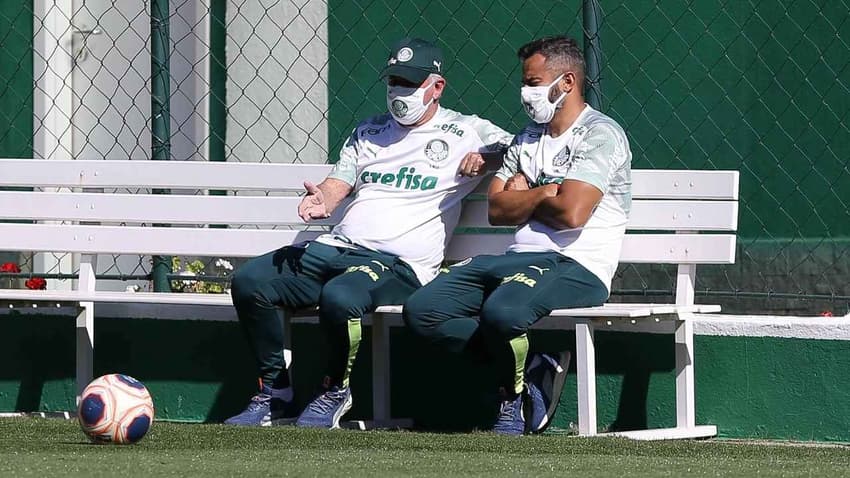 Palmeiras La Paz