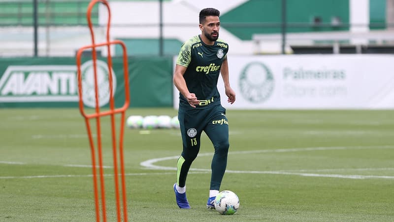 Luan Palmeiras