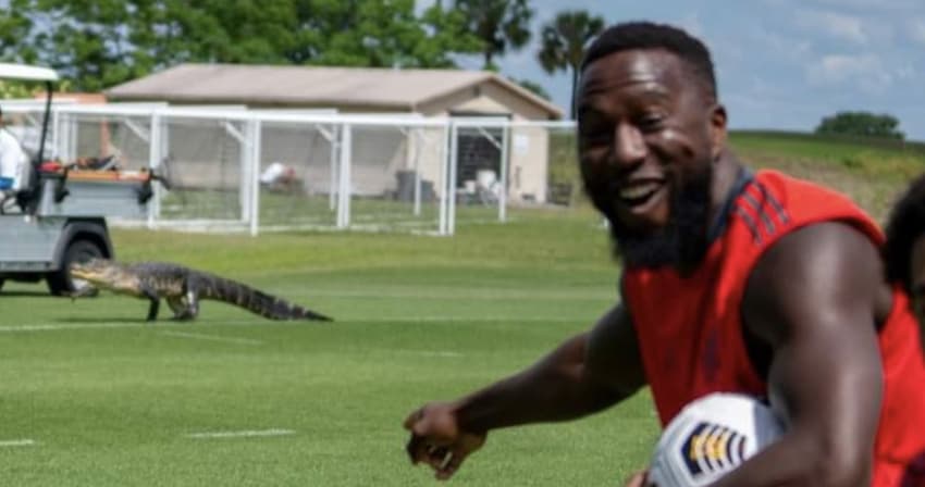 Jacaré invade treino do Toronto FC