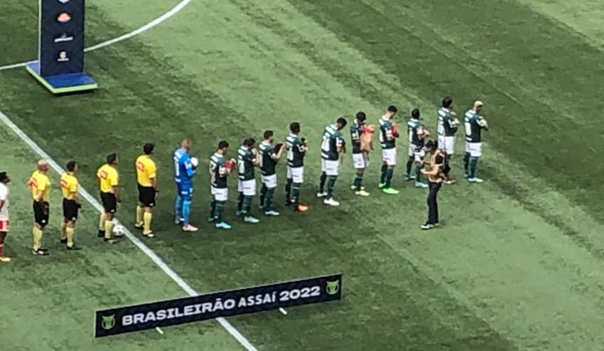 Palmeiras - Allianz Parque - adoção de animais