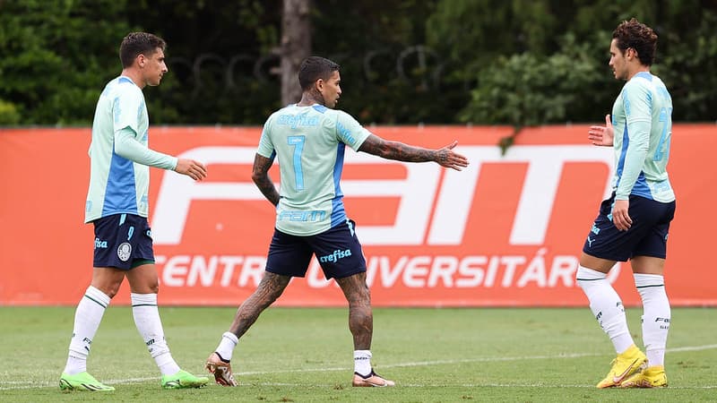 Palmeiras jogo treino