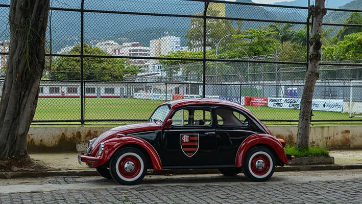 Exposição Rio-Floresta
