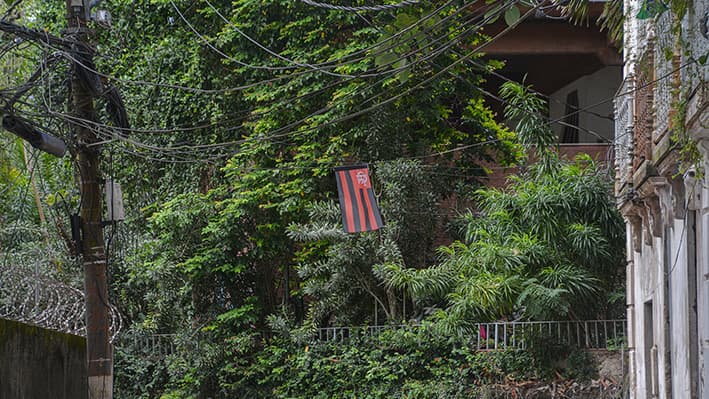 Exposição Rio-Floresta