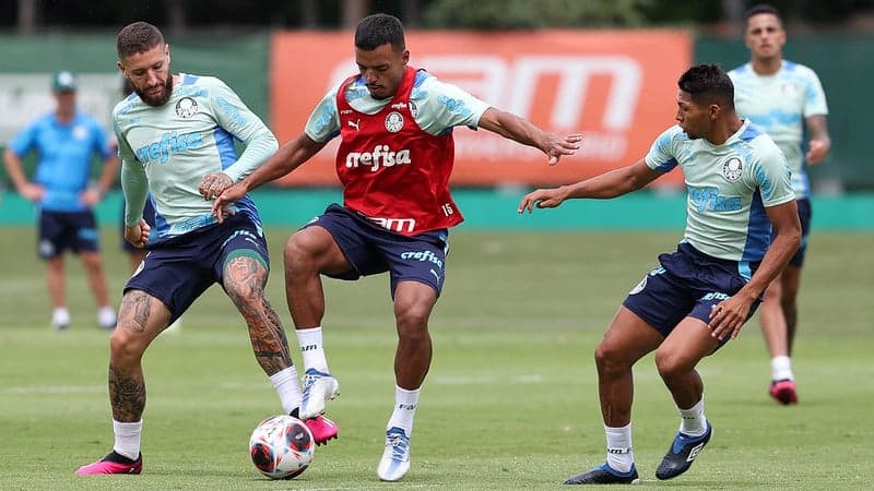 Treino Palmeiras