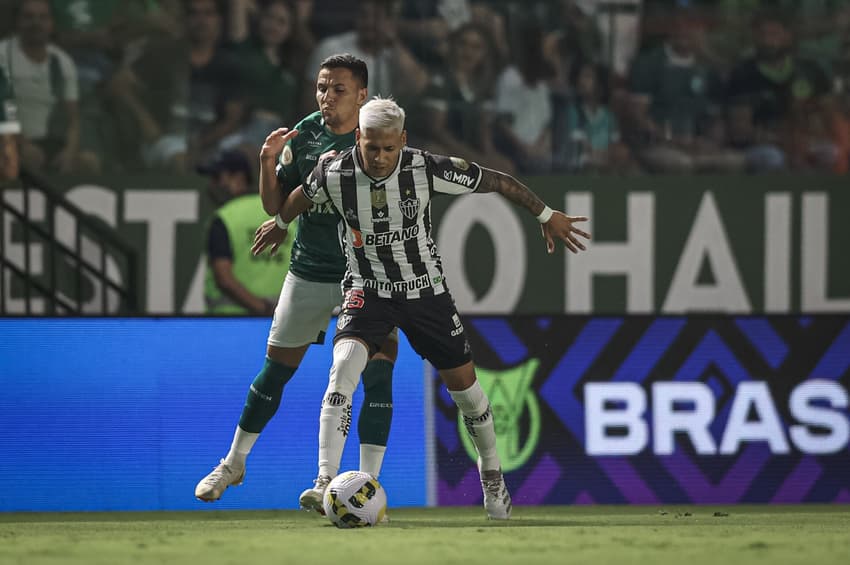 52041366922_ee77e3288a_o