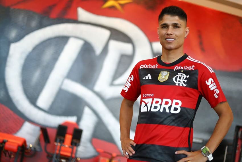 luiz-araujo-flamengo