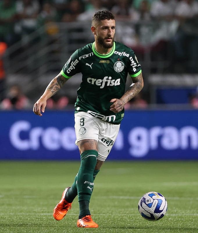 palmeiras zé rafael