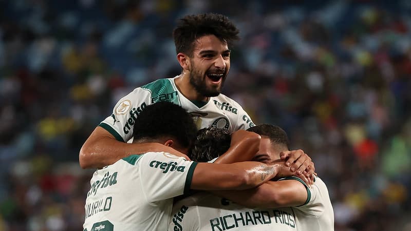 palmeiras