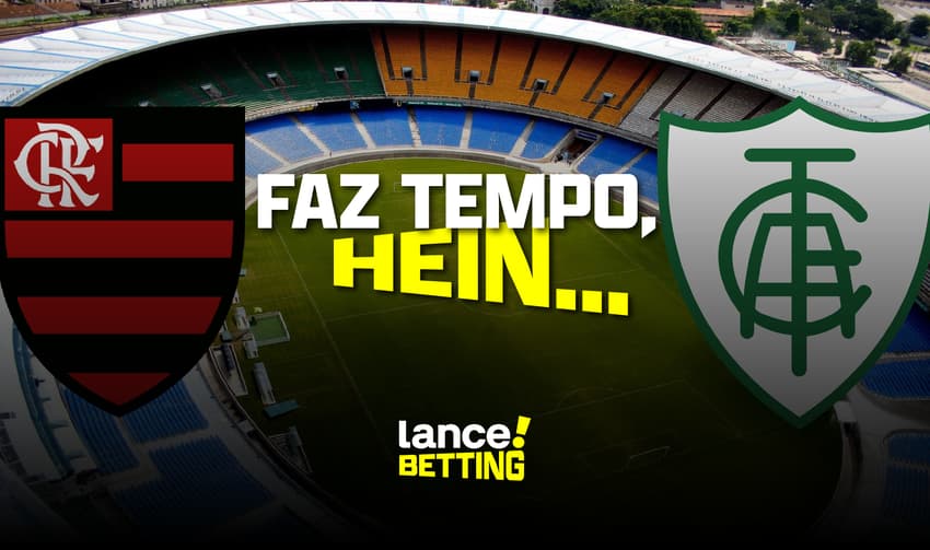 11_24_2023_artes_site_FAZ_TEMPO_HEIN