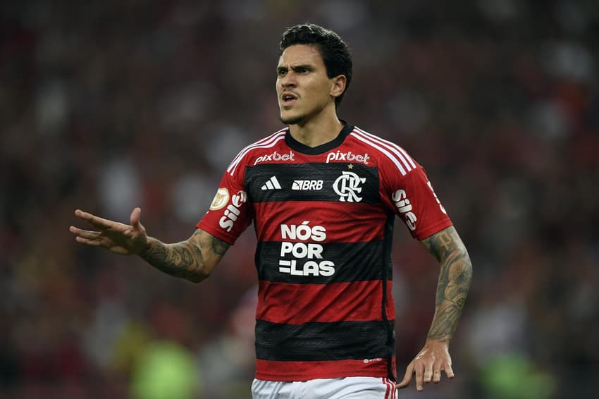 Pedro - Flamengo x Palmeiras