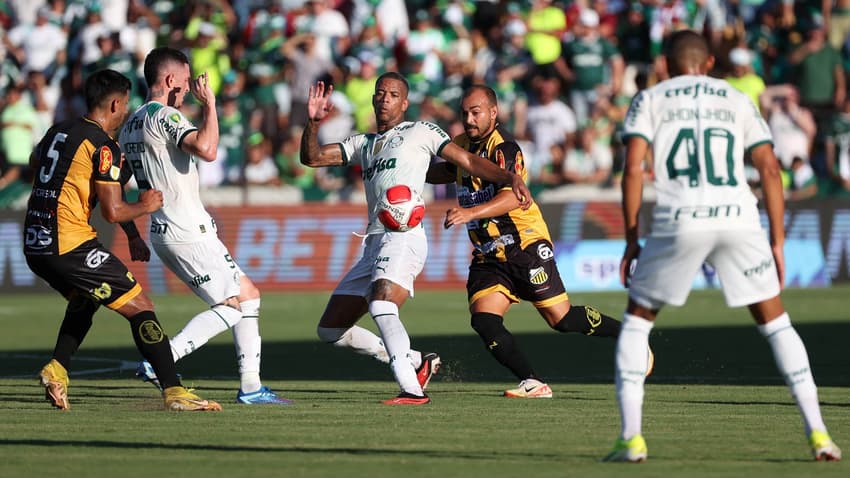 Novorizontino 1x1 Palmeiras - Paulistão 2024