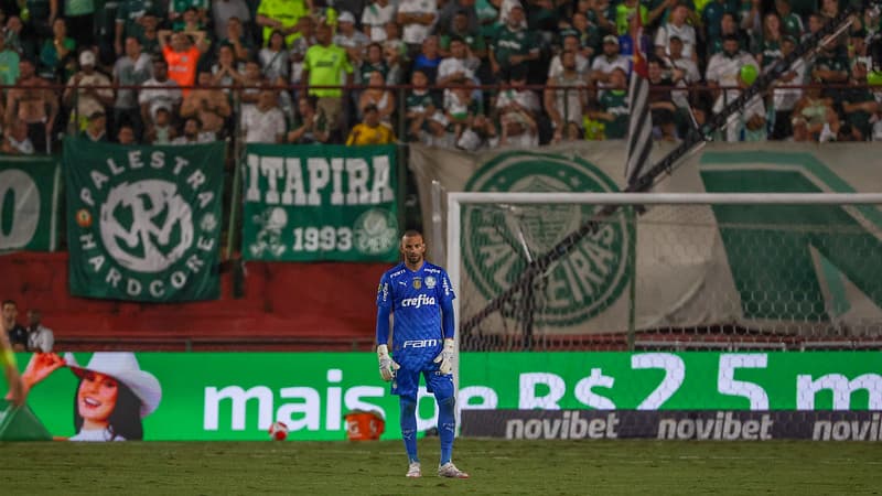 Portuguesa-Palmeiras-Weverton-Abel