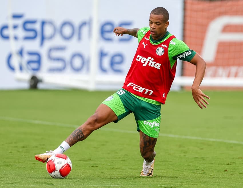 Caio Paulista - Palmeiras x Botafogo