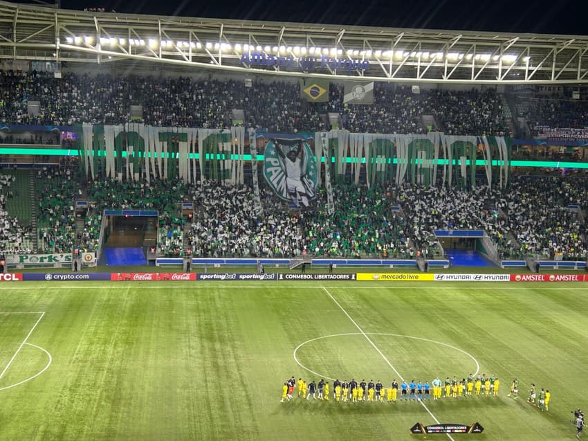 Mosaico Palmeiras Endrick