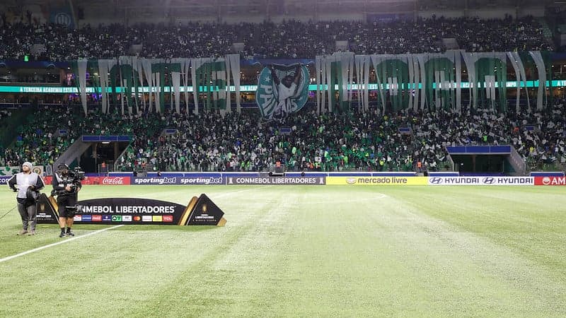 palmeiras torcida