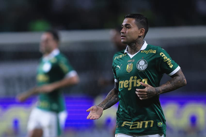 Dudu - Palmeiras, Cruzeiro