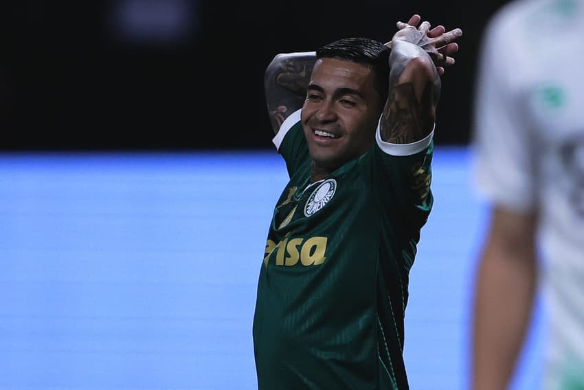 BRASILEIRO A 2024, PALMEIRAS x JUVENTUDE - Dudu