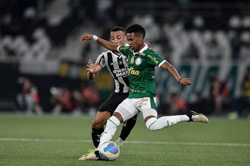 BRASILEIRO A 2024, BOTAFOGO x PALMEIRAS