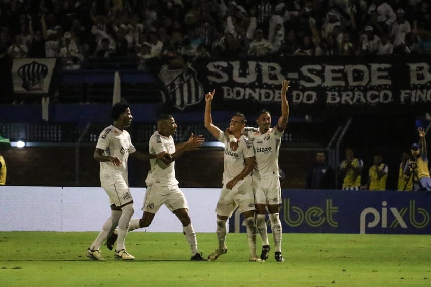 Em jogo hoje, Santos espera fazer o bom resultado que fez no primeiro turno e conquistar mais três pontos pela Série B. Foto: Leonardo Hubbe/AGIF